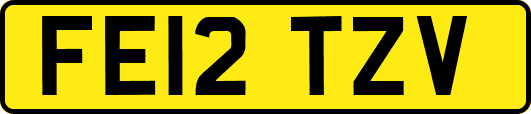 FE12TZV