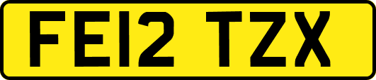 FE12TZX