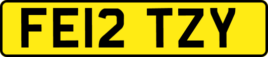 FE12TZY