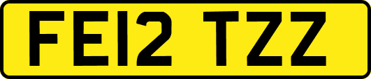 FE12TZZ