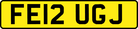 FE12UGJ