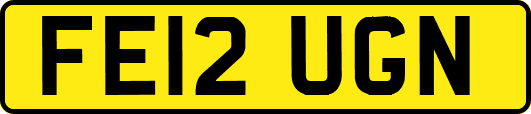 FE12UGN