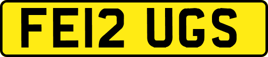 FE12UGS
