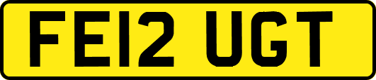 FE12UGT