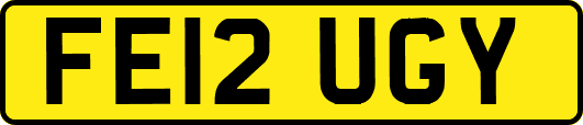 FE12UGY
