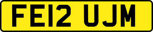 FE12UJM