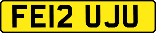 FE12UJU