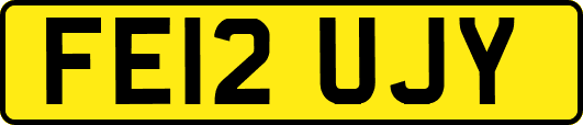 FE12UJY