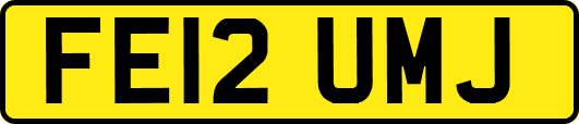 FE12UMJ