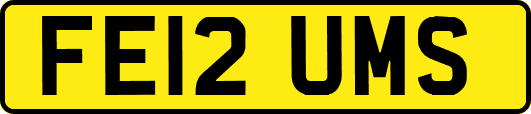 FE12UMS