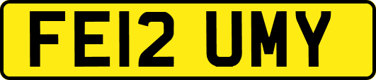 FE12UMY