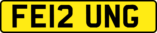 FE12UNG