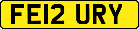 FE12URY
