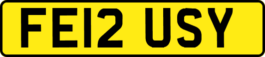 FE12USY