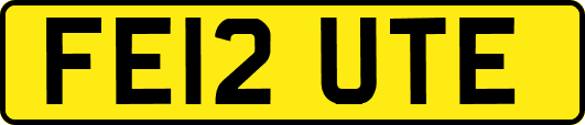 FE12UTE