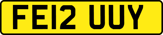 FE12UUY