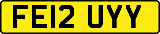 FE12UYY