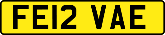 FE12VAE