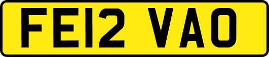 FE12VAO