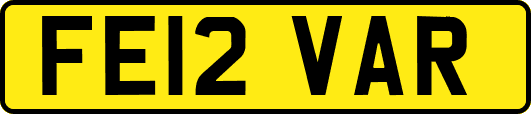 FE12VAR