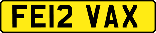 FE12VAX