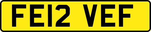 FE12VEF