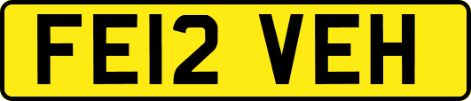 FE12VEH