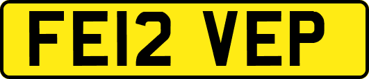 FE12VEP