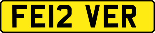 FE12VER