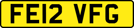 FE12VFG