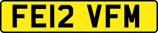 FE12VFM