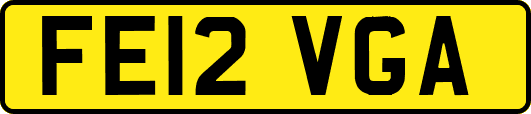 FE12VGA
