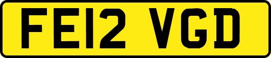FE12VGD