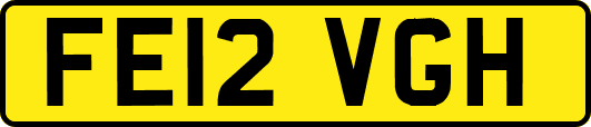 FE12VGH