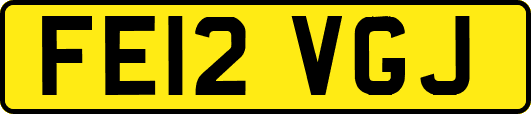 FE12VGJ
