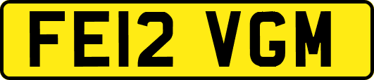 FE12VGM