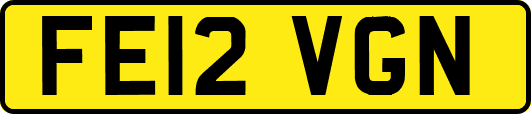 FE12VGN