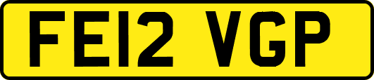 FE12VGP
