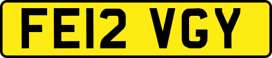 FE12VGY