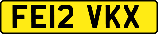 FE12VKX