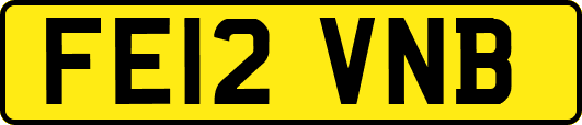 FE12VNB