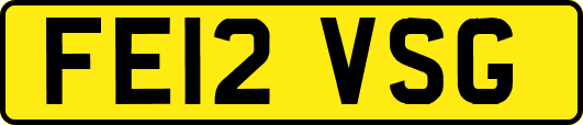 FE12VSG