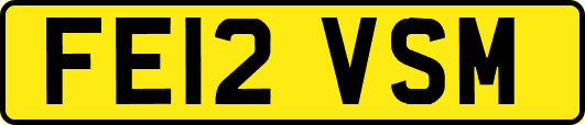 FE12VSM