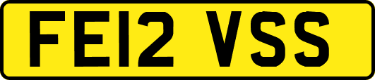 FE12VSS
