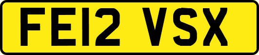 FE12VSX