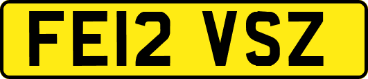 FE12VSZ