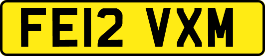 FE12VXM