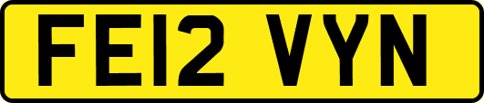 FE12VYN