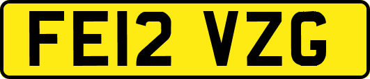 FE12VZG