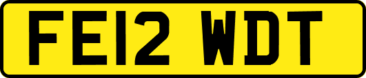 FE12WDT